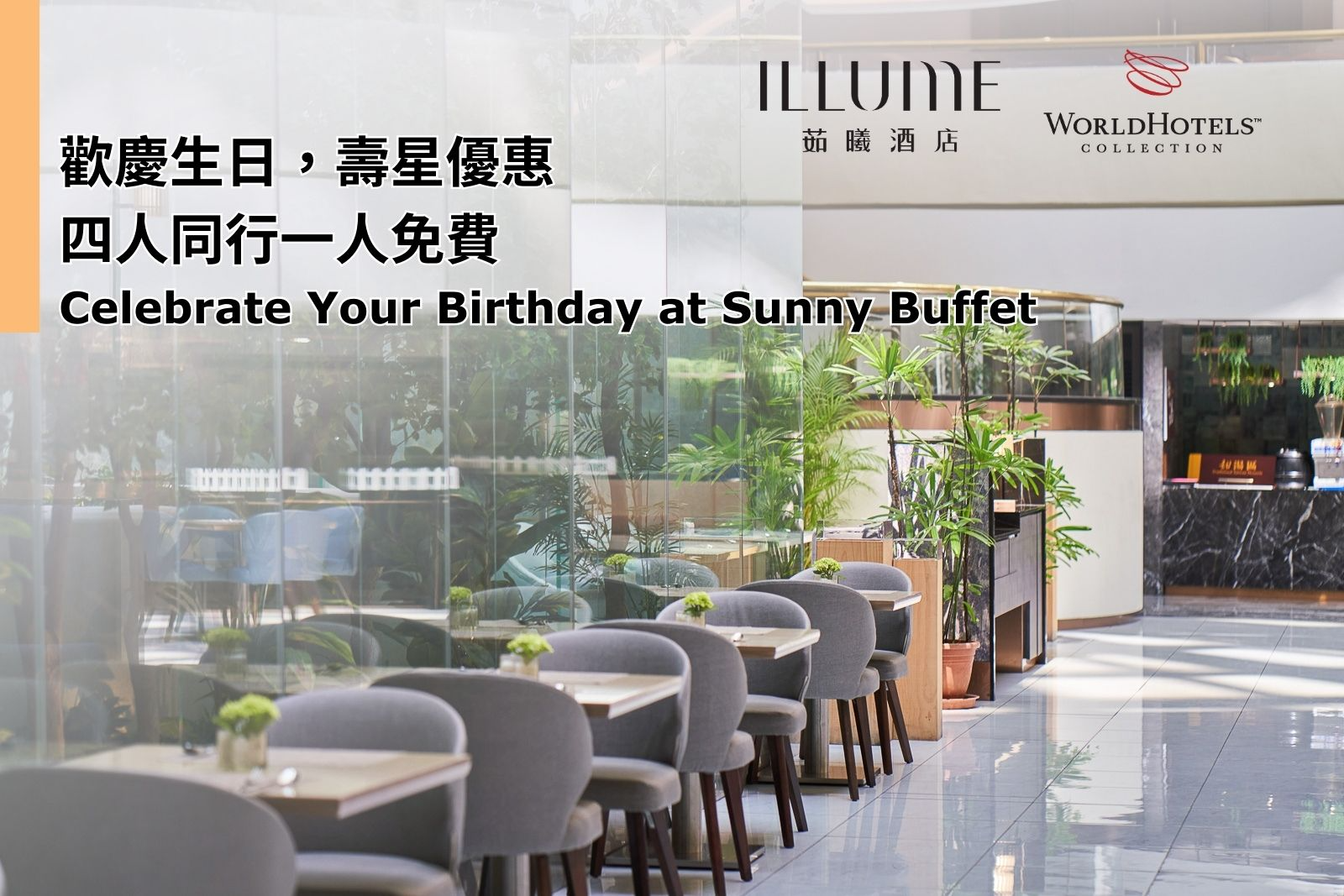 透過 Sunny Buffet 的超值優惠慶祝您的生日！